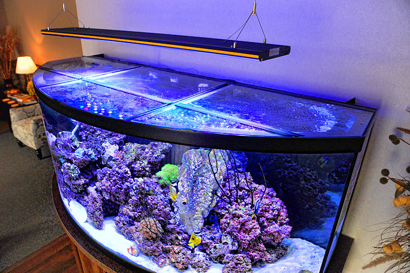 Hexagon fish tank 35 gallon - 🧡 Aqueon Authentic Alive Benign Bacilli and ...