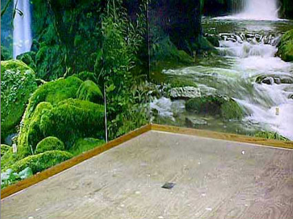 The first step to building an indoor pond is to choose wallpaper murals fo rthe backdrop. These murals give the feeling of being near a rushing, rocky river in a lush setting