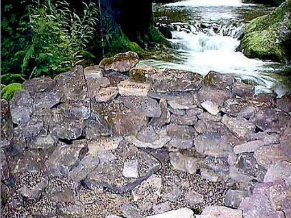 Real, moss-covered rocks are placed around the form to help create the natural look of the pond.